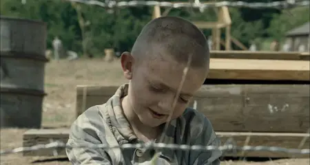 The Boy in the Striped Pajamas (2008) [MultiSubs] + Commentary