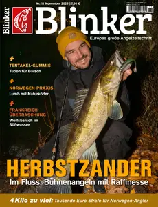 Blinker - November 2025