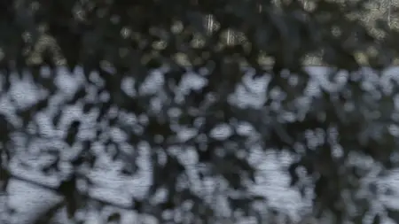 Hunted by My Husband - The Untold Story of the DC Sniper (2025)