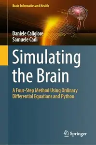 Simulating the Brain