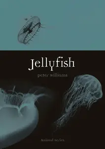 Jellyfish (Animal Series)