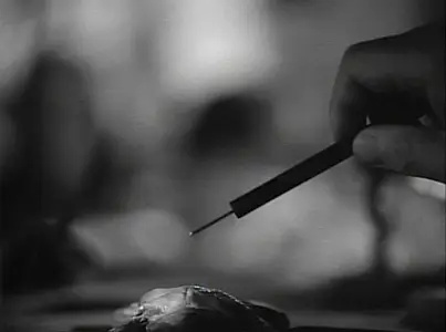 Frankenweenie (1984)
