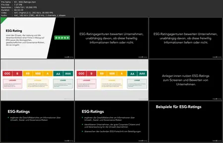 ESG Grundlagen: Environmental, Social und Governance