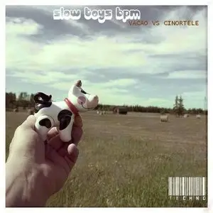 Vacão Vs Cinortele - Slow Toys Bpm