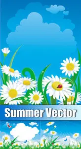 Summer Vector 