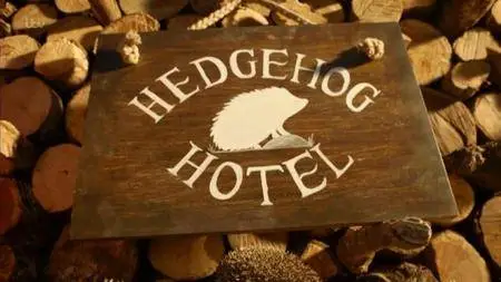 ITV - Hedgehog Hotel (2015)