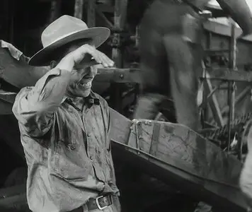 City Girl (1930)