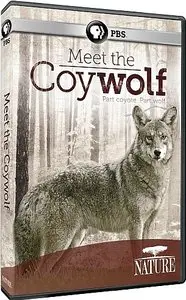 PBS Nature - Meet the Coywolf (2014)