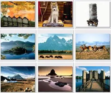 WebShots Collection. Part 3