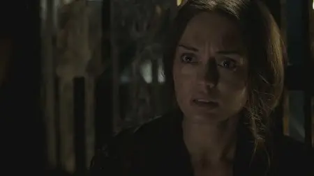 Da Vinci's Demons S03 (2015)