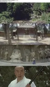 The Shaolin Temple (1982)