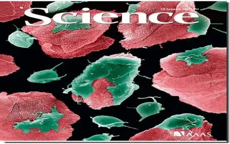 Science Magazine 2007 January 12th issue No.5809