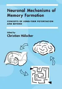Neuronal Mechanisms of Memory Formation [Repost]