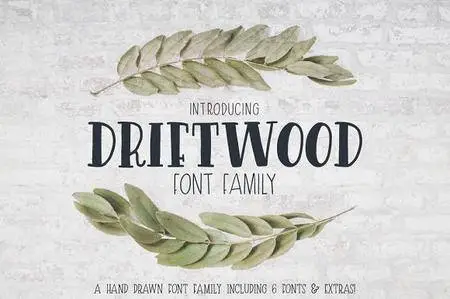 CM - Driftwood Font Family 2361872