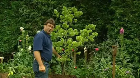 How To Be A Gardener - Series 1 (2002)