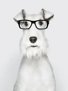 Works by photographer Fred Perrot