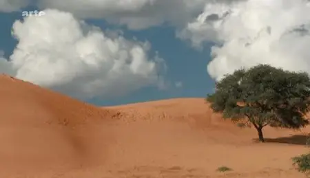 (Arte) Sans arc ni flèches - Les Bushmen du Kalahari (2012)