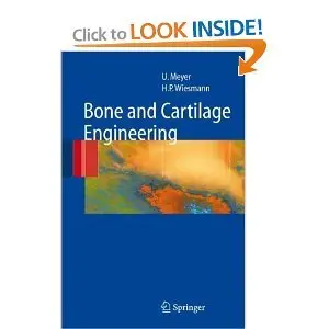 Bone and Cartilage Engineering (Repost)