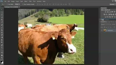 Photoshop CS6: Image Optimization