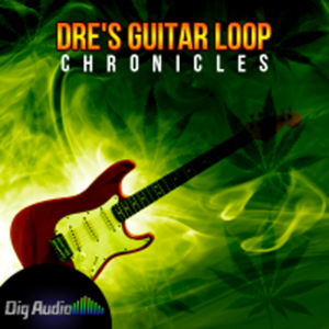 Dig Audio Dre's Guitar Loop Chronicles WAV