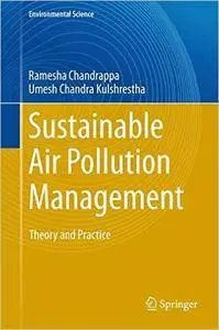 Sustainable Air Pollution Management: Theory and Practice