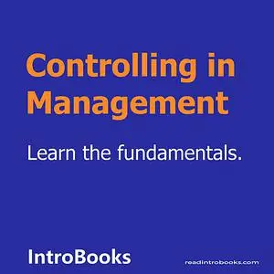 «Controlling in Management» by Introbooks Team