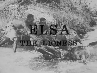 BBC - Elsa the Lioness (1961)
