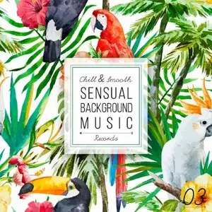 Various Artists - Sensual Background Music, Vol. 3 (2015)