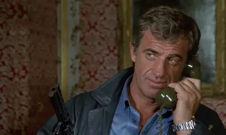 The Professional (1981)