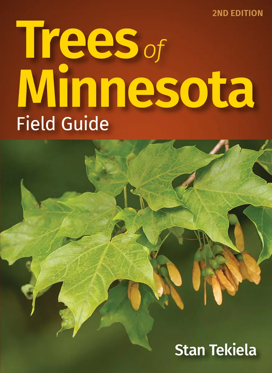 How To Identify Trees In Minnesota
