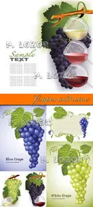 Grapes and wine - Stock Vectors