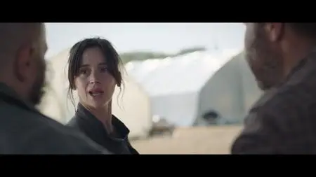 La nuée / The Swarm (2020)
