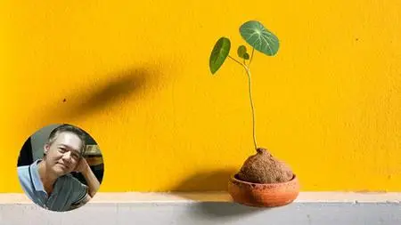 Philosophy, Yin Yang Theory & Application