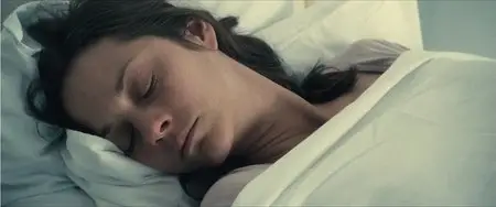De rouille et d'os (2012)