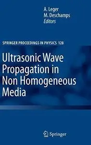 Ultrasonic Wave Propagation in Non Homogeneous Media