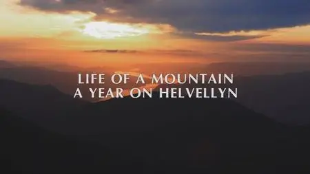 BBC - Life of a Mountain: A Year on Helvellyn (2021)