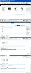 InfiniteSkills - Learning Oracle Application Express Training Video