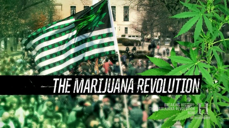History Channel - The Marijuana Revolution (2016)