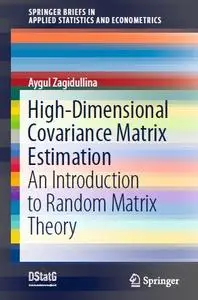 High-Dimensional Covariance Matrix Estimation: An Introduction to Random Matrix Theory
