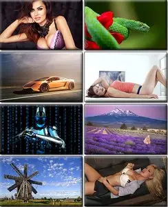 LIFEstyle News MiXture Images. Wallpapers Part (699)