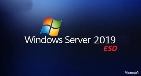 Windows Server 2019 Standard en-US ESD November 2022 Preactivated