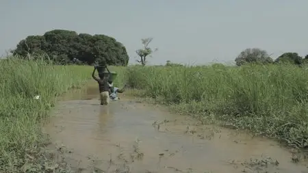 A Thristy World / La soif du monde (2012)