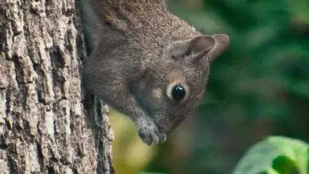 A World of Calm S01E05