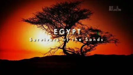 Discovery Channel - Wildest Middle East: Series 1 (2015)