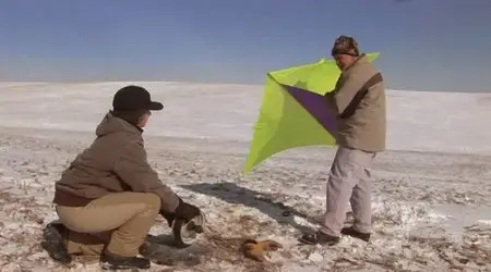 PBS - Nature: Raptor Force (2007) [repost]
