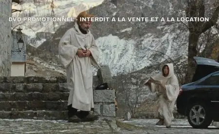 Le Voyage aux Pyrénées (2008)