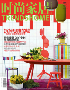 TrendsHome 2011 Vol12 (China) 