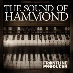 Frontline Producer - The Sound Of Hammond WAV REX