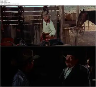 The Texican (1966)