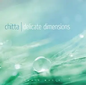 Chitta - Delicate Dimensions (2015)